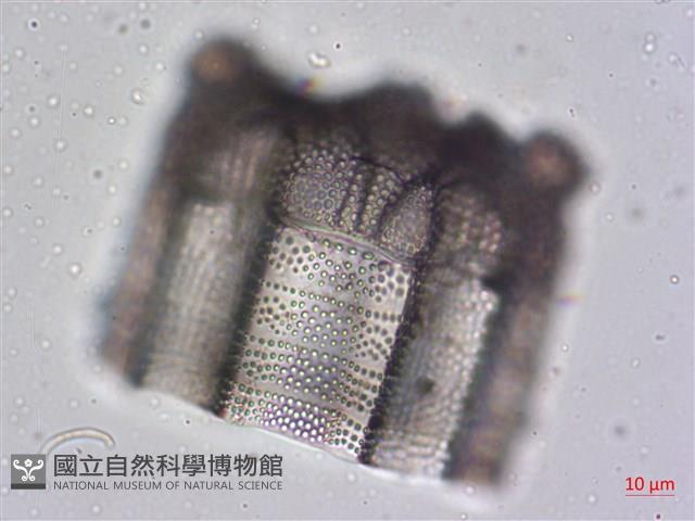 登錄號:A00004476藏品圖，第3張