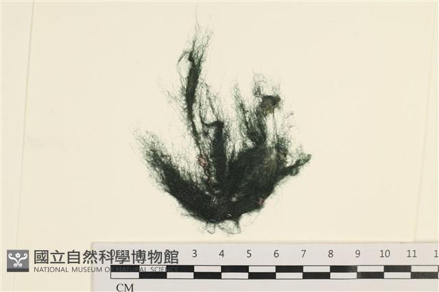 登錄號:A00001476藏品圖，第1張
