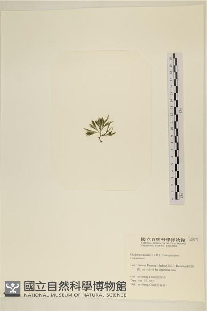 登錄號:A00005376藏品圖，第3張