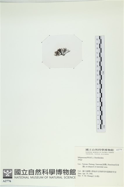 登錄號:A00002776藏品圖，第3張