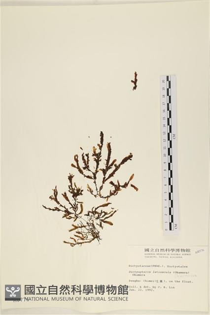登錄號:A00000776藏品圖，第1張