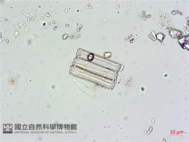 登錄號:A00004616藏品圖，第3張