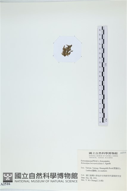 登錄號:A00002516藏品圖，第3張
