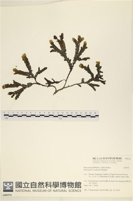 登錄號:A00006516藏品圖，第1張