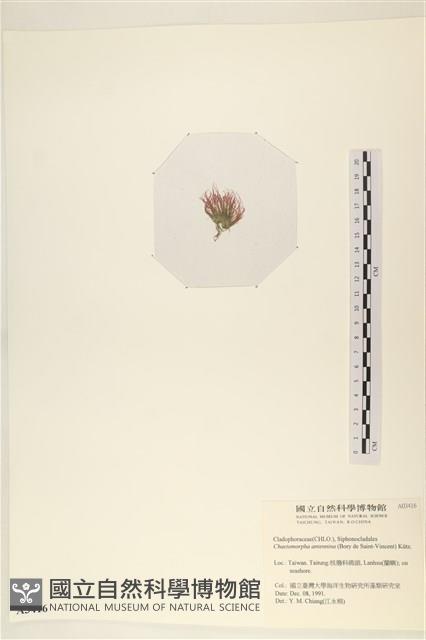 登錄號:A00003416藏品圖，第3張