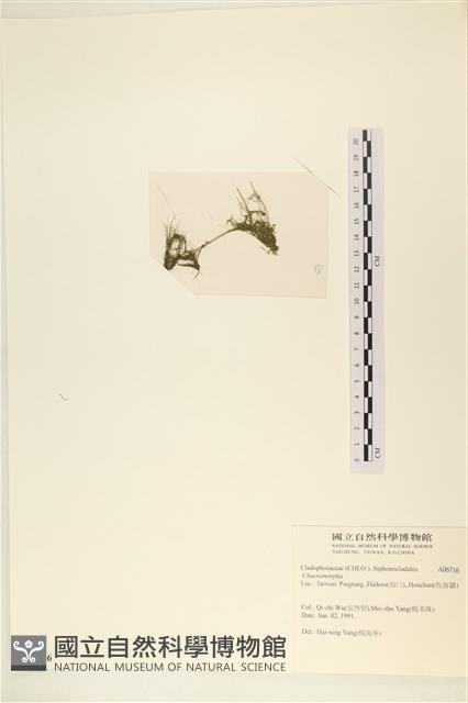 登錄號:A00006716藏品圖，第3張