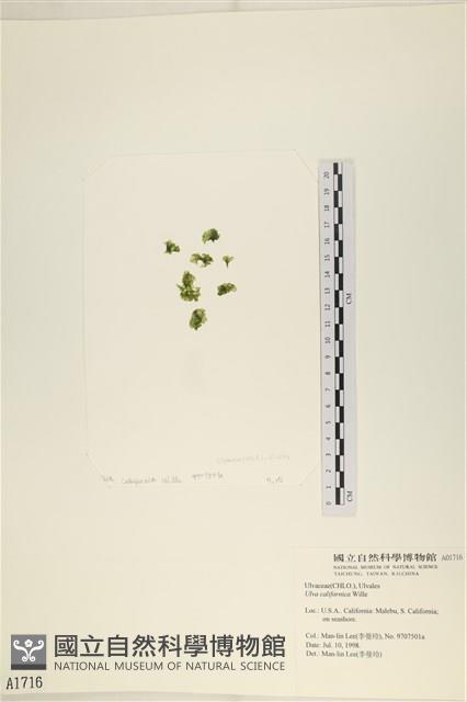 登錄號:A00001716藏品圖，第1張