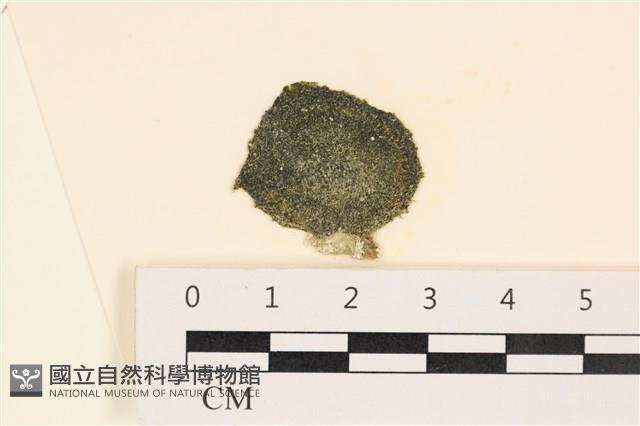 登錄號:A00004996藏品圖，第1張