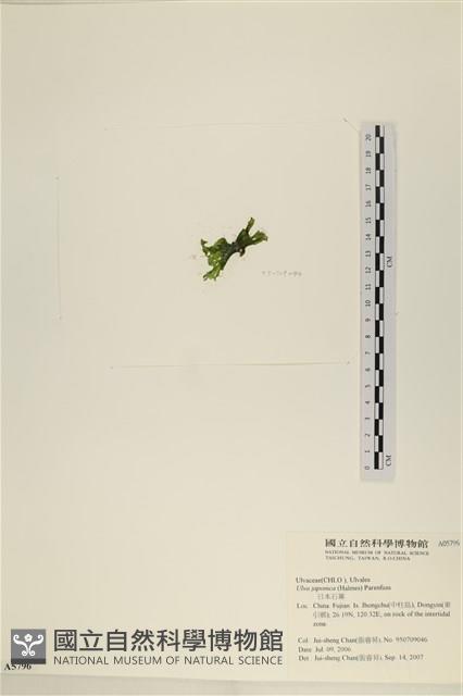 登錄號:A00005796藏品圖，第3張
