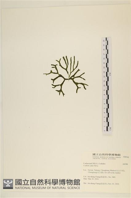 登錄號:A00006546藏品圖，第3張