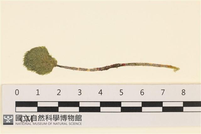 Accession Number:A00001446 Collection Image, Figure 1, Total 3 Figures