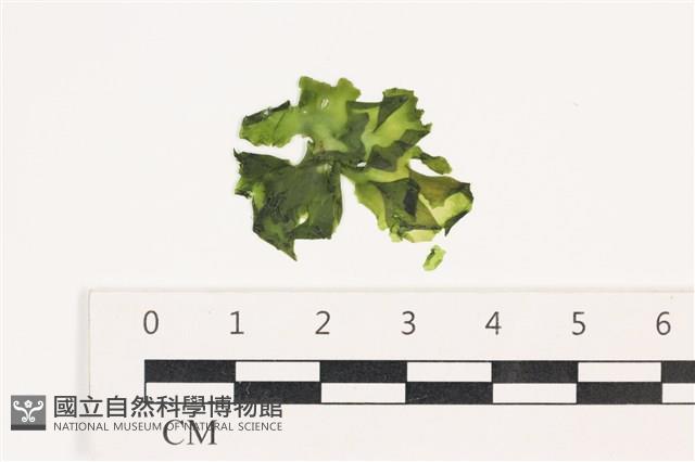 登錄號:A00003466藏品圖，第1張