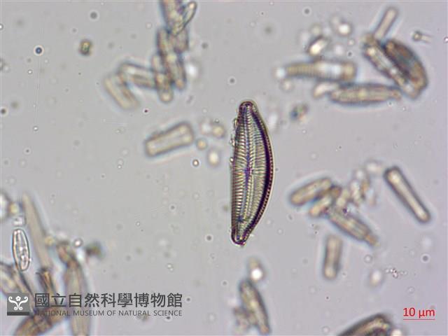 登錄號:A00004606藏品圖，第3張