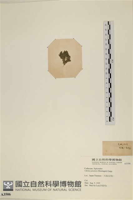 登錄號:A00003506藏品圖，第3張