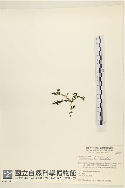 登錄號:A00006486藏品圖，第3張