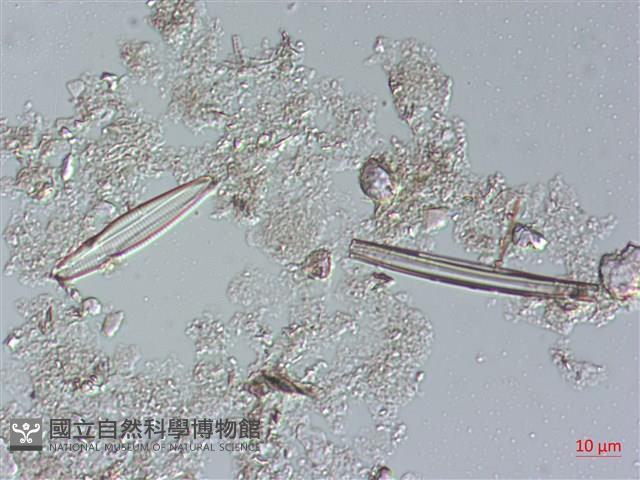 登錄號:A00004486藏品圖，第4張