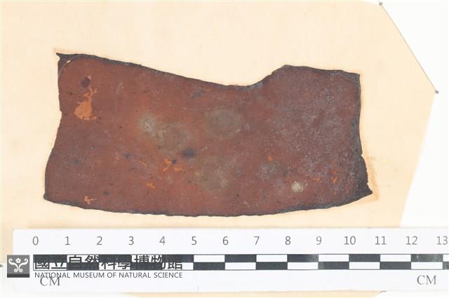 登錄號:A00003986藏品圖，第1張