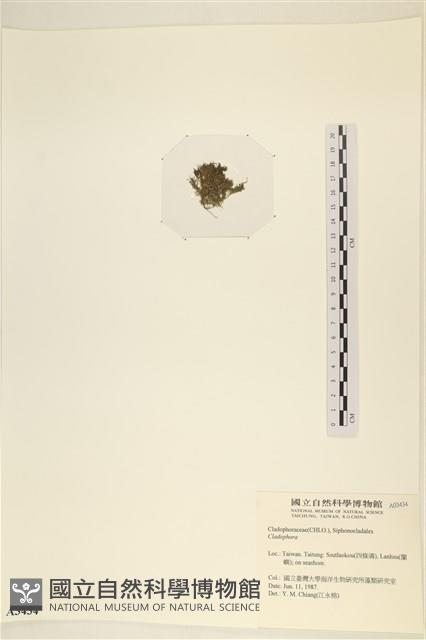 登錄號:A00003434藏品圖，第3張