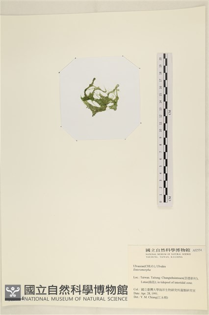 登錄號:A00002554藏品圖，第3張
