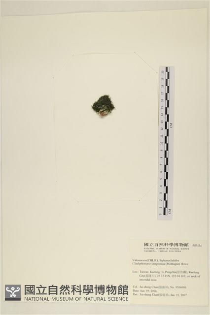 登錄號:A00005554藏品圖，第3張