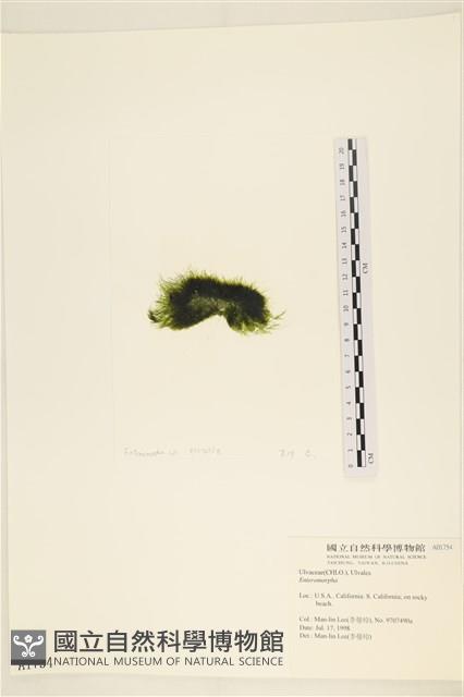 登錄號:A00001754藏品圖，第3張