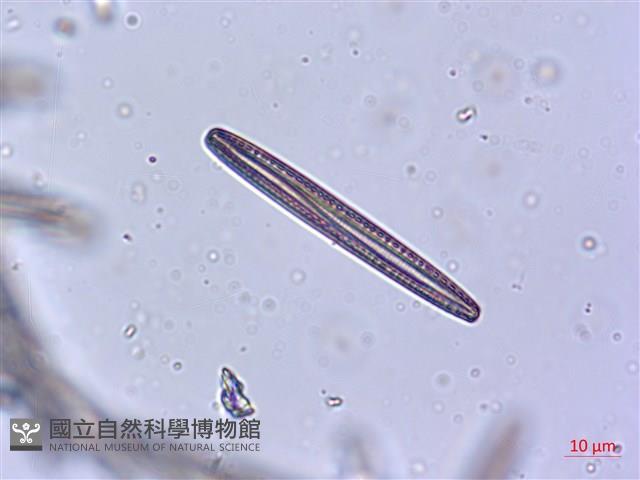 登錄號:A00004624藏品圖，第3張