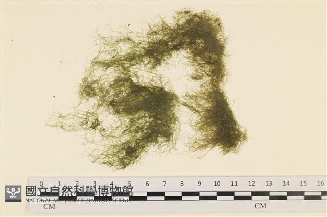 登錄號:A00000224藏品圖，第1張
