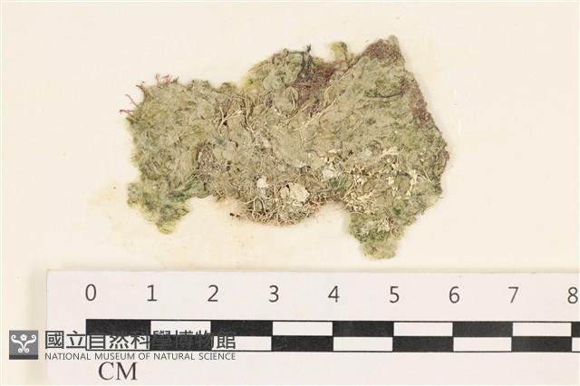 登錄號:A00003124藏品圖，第1張