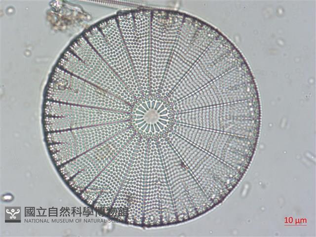 登錄號:A00004524藏品圖，第3張