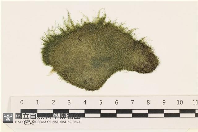 登錄號:A00002424藏品圖，第1張