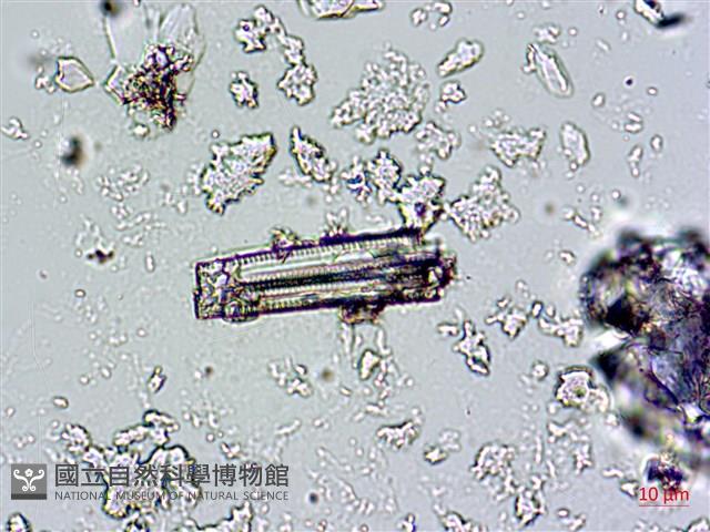登錄號:A00004674藏品圖，第3張