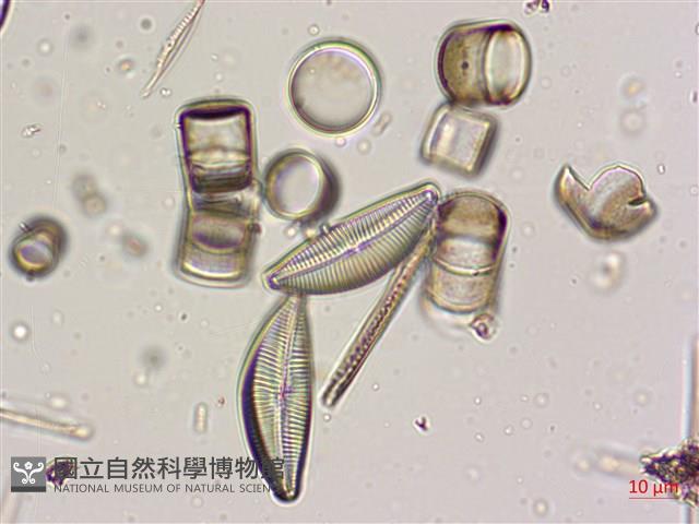 登錄號:A00004574藏品圖，第3張