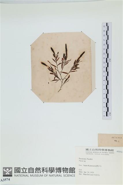 登錄號:A00003574藏品圖，第3張