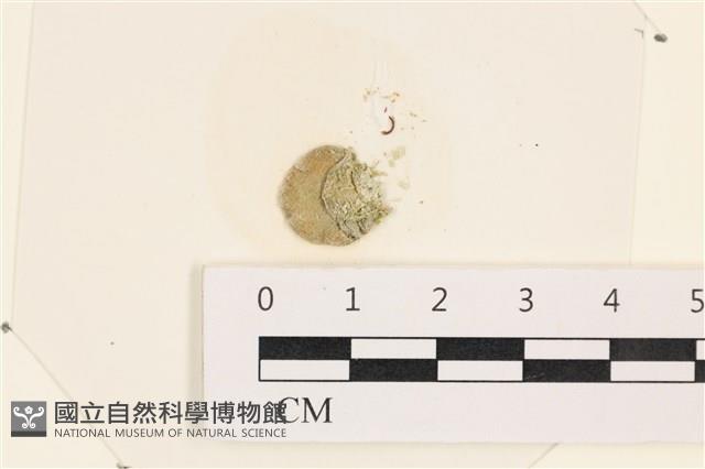 登錄號:A00002474藏品圖，第1張