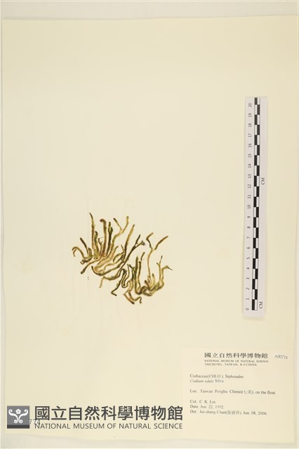 登錄號:A00000774藏品圖，第3張