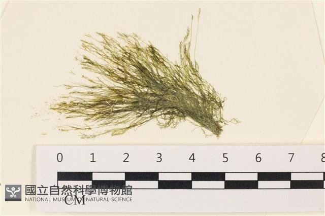 登錄號:A00002214藏品圖，第1張