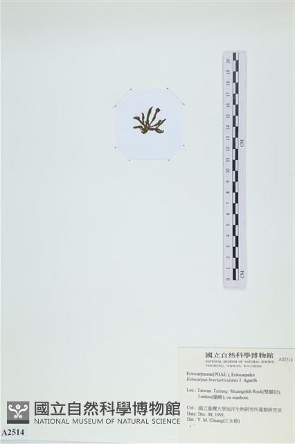 登錄號:A00002514藏品圖，第3張