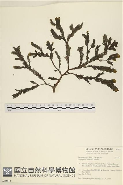 登錄號:A00006514藏品圖，第1張