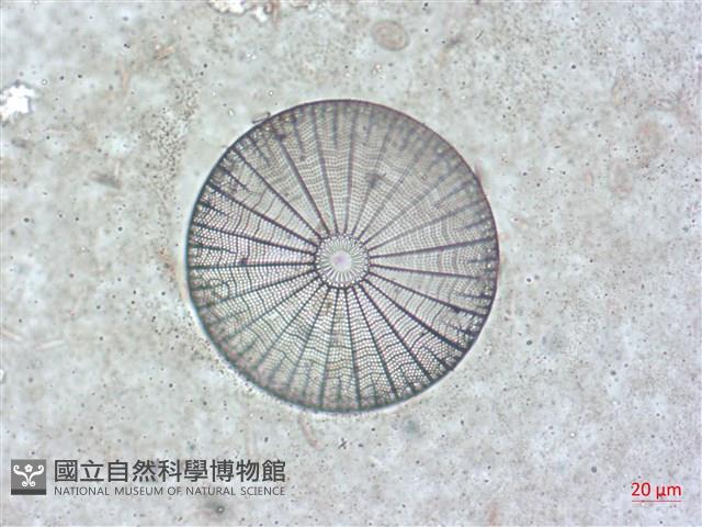 登錄號:A00004514藏品圖，第3張