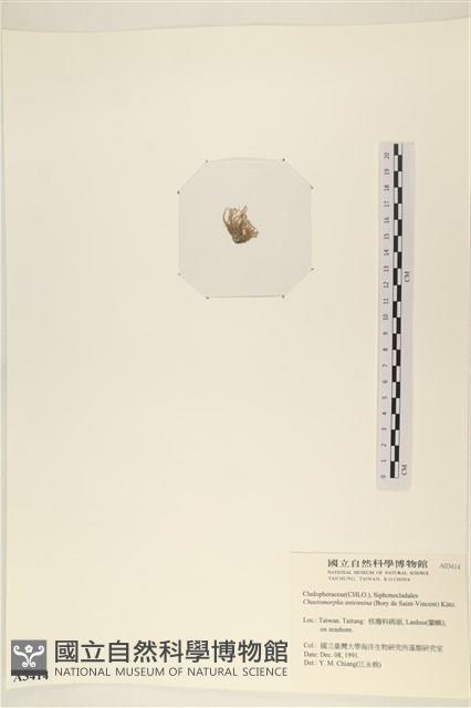 登錄號:A00003414藏品圖，第3張