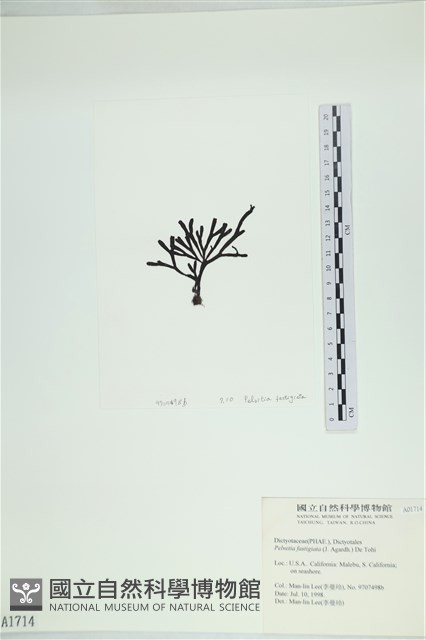 登錄號:A00001714藏品圖，第3張
