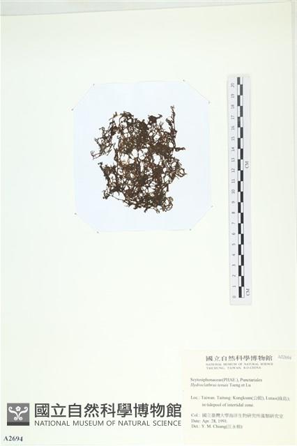 登錄號:A00002694藏品圖，第3張