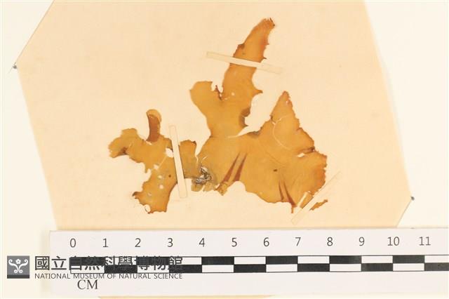 Accession Number:A00003494 Collection Image, Figure 1, Total 3 Figures