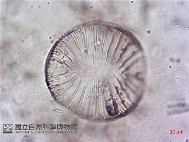 登錄號:A00004644藏品圖，第3張