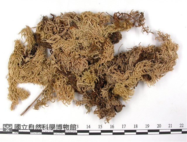 登錄號:B00003644藏品圖，第3張