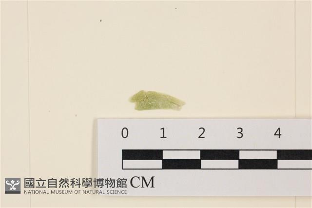 登錄號:A00005044藏品圖，第1張
