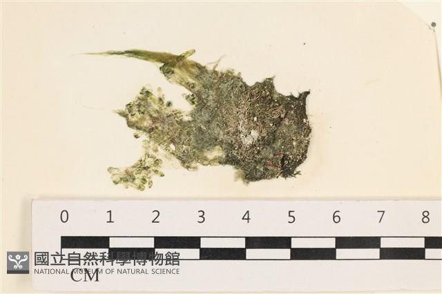 登錄號:A00003144藏品圖，第1張