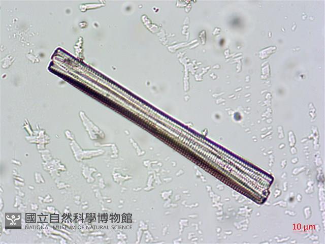 登錄號:A00004664藏品圖，第3張