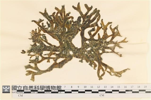 登錄號:A00005064藏品圖，第1張