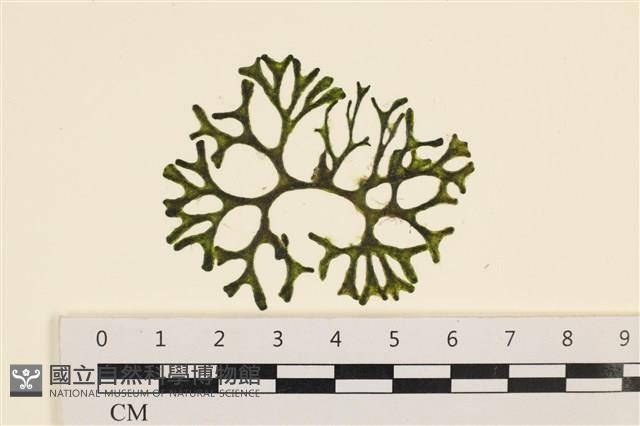 登錄號:A00001164藏品圖，第1張